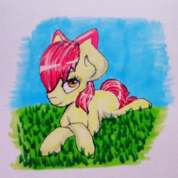 Size: 1024x1024 | Tagged: safe, artist:alwayspony, derpibooru import, apple bloom, earth pony, pony, female, filly, grass, one eye covered, solo, traditional art