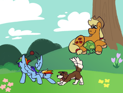 Size: 1280x967 | Tagged: safe, artist:tezzbot, derpibooru import, applejack, rainbow dash, tank, winona, dog, earth pony, pegasus, pony, tortoise, appledash, ball, female, lesbian, shipping