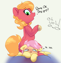 Size: 763x781 | Tagged: safe, artist:pabbley, color edit, derpibooru import, edit, big macintosh, butterscotch, fluttershy, macareina, earth pony, pegasus, pony, blushing, butt, butterreina, colored, dialogue, female, fluttermac, flutterseat, green background, larger female, male, mare, plot, rule 63, shipping, simple background, sitting, size difference, smaller male, stallion, straight, this will end in death by snu snu