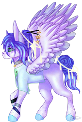 Size: 1920x2848 | Tagged: safe, artist:ermy-poo, derpibooru import, oc, oc only, pegasus, choker, female, mare, simple background, solo, spread wings, transparent background, wings