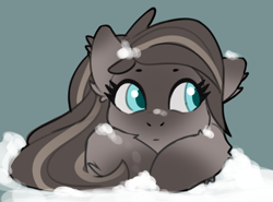 Size: 970x717 | Tagged: safe, artist:anonymous, artist:chimaera_01, derpibooru import, oc, oc only, earth pony, pony, ear fluff, ears, female, fluffy, mare, simple background, snow, snowfall, snowpony (species), solo, taiga pony