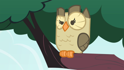 Size: 1280x720 | Tagged: safe, derpibooru import, screencap, owlowiscious, bird, owl, inspiration manifestation, season 4, looking at something, solo, tree, tree branch