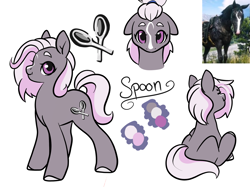 Size: 2402x1800 | Tagged: safe, artist:damayantiarts, derpibooru import, oc, oc only, oc:spoon, earth pony, pony, bust, colored hooves, earth pony oc, female, mare, reference sheet, scissors, sitting, smiling