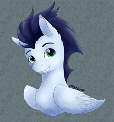 Size: 1500x1600 | Tagged: safe, artist:maravor, derpibooru import, soarin', pegasus, pony, bust, ear fluff, ears, male, portrait, smiling, solo, stallion