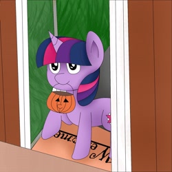 Size: 1600x1600 | Tagged: safe, derpibooru import, twilight sparkle, pony, unicorn, best pony, cute, halloween, holiday, mouth hold, pumpkin bucket, solo, trick or treat