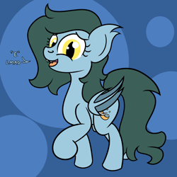 Size: 2000x2000 | Tagged: safe, artist:dafiltafish, derpibooru import, oc, oc:harvest moon, bat pony, pony, bat pony oc, eeee, text