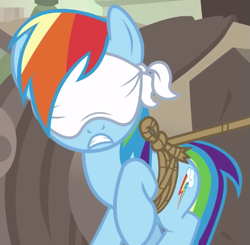 Size: 647x634 | Tagged: safe, derpibooru import, screencap, rainbow dash, daring done?, blindfold, cropped, female, rainbond dash, solo, tied up