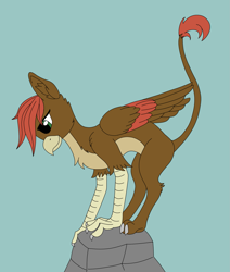 Size: 1727x2032 | Tagged: safe, artist:fess, derpibooru import, oc, oc only, oc:fess, griffon, male, simple background, solo, wings