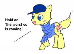 Size: 1416x1036 | Tagged: safe, artist:foxy1219, derpibooru import, oc, oc only, oc:foxy whooves, fox, fox pony, hybrid, blank flank, cap, clothes, hat, male, plaid shirt, reference sheet, shirt, simple background, solo, species swap, white background