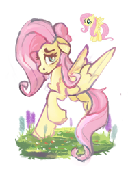 Size: 1200x1601 | Tagged: safe, artist:megalura, derpibooru import, fluttershy, pegasus, pony, chest fluff, ears, female, floppy ears, looking at you, mare, partial background, raised hoof, raised leg, reference, simple background, solo, spread wings, standing, white background, wings