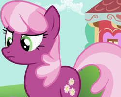 Size: 1130x909 | Tagged: safe, derpibooru import, screencap, cheerilee, earth pony, pony, season 2, the cutie pox, cropped, female, frown, mare, solo