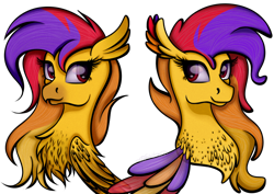 Size: 1024x727 | Tagged: safe, artist:victoria-luna, derpibooru import, oc, oc only, classical hippogriff, hippogriff, seapony (g4), beak, bust, chest fluff, eyelashes, feather, female, portrait, purple eyes, simple background, smiling, solo, transparent background, wings