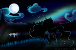 Size: 1102x725 | Tagged: safe, artist:opal_radiance, derpibooru import, princess celestia, alicorn, pony, aurora borealis, cloud, crown, female, flowing mane, flowing tail, folded wings, grass, hoof shoes, horn, jewelry, looking up, moon, moonlight, night, regalia, sky, solo, stars, tail, tree, wings