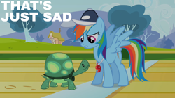 Size: 1920x1080 | Tagged: safe, derpibooru import, edit, edited screencap, editor:quoterific, screencap, rainbow dash, tank, pegasus, pony, tortoise, may the best pet win, season 2, cap, female, hat, male, mare, rainbow dashs coaching whistle, rainbow douche, spread wings, whistle, whistle necklace, wings