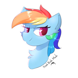 Size: 800x800 | Tagged: safe, artist:morningbullet, derpibooru import, rainbow dash, pony, cheek fluff, chest fluff, colored pupils, ear fluff, ears, female, lidded eyes, mare, simple background, solo, white background