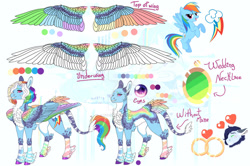 Size: 1280x850 | Tagged: safe, artist:malinraf1615, derpibooru import, rainbow dash, pony, alternate design, colored wings, multicolored wings, reference sheet, solo, wings