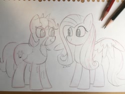 Size: 1048x786 | Tagged: safe, artist:huodx, derpibooru import, fluttershy, oc, oc:deary dots, earth pony, pegasus, pony, female, grayscale, looking at each other, looking at you, mare, monochrome, pencil, pencil drawing, traditional art