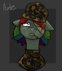 Size: 1300x1500 | Tagged: safe, artist:azulejo, derpibooru import, rainbow dash, pony, angry, cigarette, female, hat, short hair, short mane, simple background, soldier, solo