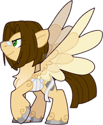 Size: 1280x1552 | Tagged: safe, artist:rohans-ponies, derpibooru import, oc, pegasus, pony, male, simple background, solo, stallion, transparent background