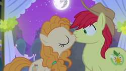 Size: 1280x720 | Tagged: safe, derpibooru import, screencap, bright mac, pear butter, earth pony, pony, season 7, the perfect pear, brightbutter, duo, female, kiss on the lips, male, mare, mare in the moon, moon, shipping, stallion, straight