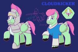 Size: 1772x1181 | Tagged: safe, artist:shacy's pagelings, derpibooru import, oc, oc:cloudkicker, pegasus, pony, male, oc sheet, reference sheet, solo