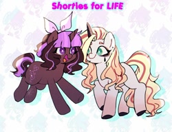 Size: 1066x819 | Tagged: safe, artist:riukime, derpibooru import, oc, oc only, pony, unicorn, duo, female