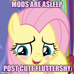 Size: 500x500 | Tagged: safe, artist:thegamerpainter, derpibooru import, edit, edited screencap, screencap, fluttershy, pegasus, pony, best gift ever, adorable face, blush sticker, blushing, cropped, cute, daaaaaaaaaaaw, female, hoof on cheek, mare, mods are asleep, mods are asleep post ponies, open mouth, open smile, shyabetes, smiling, solo