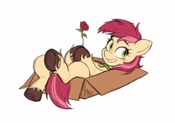 Size: 2560x1802 | Tagged: safe, artist:erzhuxa, derpibooru import, roseluck, earth pony, pony, behaving like a cat, box, collar, commission, commissioner:doom9454, cute, female, flower, pet tag, pony in a box, pony pet, rose, rosepet, simple background, white background