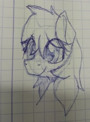 Size: 2195x2955 | Tagged: safe, artist:sefastpone, derpibooru import, oc, oc only, pony, female, graph paper, lined paper, mare, photo, sketch, solo, traditional art