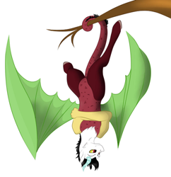 Size: 478x494 | Tagged: safe, artist:schokocream, derpibooru import, oc, oc only, draconequus, draconequus oc, prehensile tail, simple background, solo, tail, tree branch, upside down, white background, wings