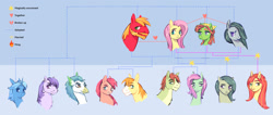 Size: 1280x544 | Tagged: safe, artist:lovelyluckyy, derpibooru import, big macintosh, fluttershy, marble pie, tree hugger, oc, oc:apple crust, oc:busalts, oc:cloudy lila, oc:honey bee, oc:lilac, oc:mcintosh jr., oc:onyx victor, oc:sprinter, oc:sunpetal, classical hippogriff, earth pony, hippogriff, pegasus, pony, unicorn, adopted offspring, beard, bisexual, facial hair, family tree, female, flutterhugger, fluttermac, fluttermarblehugger, heart, lesbian, magical lesbian spawn, magical threesome spawn, male, marblehugger, marbleshy, mare, offspring, parent:big macintosh, parent:fluttershy, parent:marble pie, parent:tree hugger, parents:flutterhugger, parents:fluttermac, parents:fluttermarblehugger, parents:marbleshy, polyamory, shipping, stallion, straight