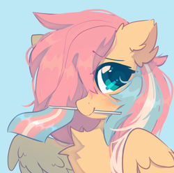 Size: 618x613 | Tagged: safe, artist:mirtash, derpibooru import, fluttershy, pegasus, pony, blue background, pride, pride flag, simple background, solo, transgender pride flag