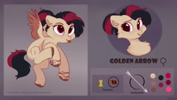 Size: 3460x1952 | Tagged: safe, artist:raily, derpibooru import, oc, oc only, oc:golden arrow, pegasus, pony, reference sheet, solo