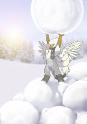 Size: 2481x3507 | Tagged: safe, artist:arctic-fox, derpibooru import, oc, oc only, oc:der, griffon, chest fluff, clothes, griffon oc, scarf, snow, snowball, solo