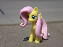 Size: 2048x1536 | Tagged: safe, artist:dingopatagonico, derpibooru import, fluttershy, insect, ladybug, pony, irl, photo, solo, toy
