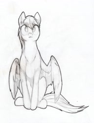 Size: 3042x3961 | Tagged: safe, artist:foxtrot3, derpibooru import, oc, oc only, oc:light winds, pegasus, pony, female, mare, solo, traditional art