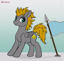 Size: 3000x2856 | Tagged: safe, artist:eltaile, derpibooru import, oc, oc:platinumdrop, pegasus, pony, equestria, flag, male, solo, spear, weapon