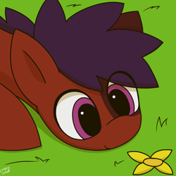 Size: 1768x1768 | Tagged: safe, artist:monycaalot, derpibooru import, oc, oc only, oc:mony caalot, earth pony, pony, cute, day, eye clipping through hair, female, flower, grass, lying, outdoors, pink eyes, simple background, smiling, solo