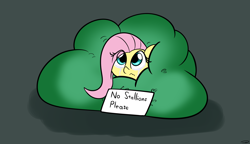 Size: 2756x1590 | Tagged: safe, artist:taurson, derpibooru import, fluttershy, pegasus, pony, bush, crying, cute, eye clipping through hair, female, hiding, high res, mare, scared, shaking, shyabetes, sign, simple background, sitting, solo, teary eyes, trembling, wavy mouth