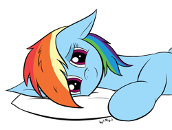 Size: 1367x1033 | Tagged: safe, artist:wapamario63, rainbow dash, pony, cute, dashabetes, ears, female, flat colors, floppy ears, looking at you, mare, pillow, pov, simple background, solo, transparent background