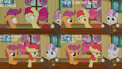 Size: 1280x720 | Tagged: safe, derpibooru import, edit, edited screencap, editor:quoterific, screencap, apple bloom, scootaloo, sweetie belle, earth pony, pegasus, pony, unicorn, hearts and hooves day (episode), season 2, apple bloom's bow, book, bow, caption, clubhouse, crusaders clubhouse, curtains, cutie mark crusaders, ears, eye contact, eyes closed, female, filly, floppy ears, foal, green eyes, grin, gritted teeth, hair bow, horn, looking at each other, looking at someone, open mouth, orange eyes, purple eyes, red mane, red tail, shrunken pupils, smiling, tail, text, trio, two toned mane, window