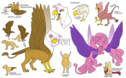 Size: 4000x2500 | Tagged: safe, artist:jackiebloom, derpibooru import, fluttershy, gilda, oc, oc:felix genimen, griffon, hippogriff, hybrid, pegasus, pony, beak, blushing, eyes closed, female, gildashy, interspecies offspring, lesbian, looking at you, magical lesbian spawn, offspring, open mouth, parent:fluttershy, parent:gilda, parents:gildashy, shipping, simple background, text, transparent background