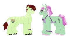 Size: 1280x640 | Tagged: safe, artist:itstechtock, derpibooru import, oc, oc:herbal remedy, oc:seagrass, earth pony, pony, apron, clothes, female, glasses, male, mare, parent:tree hugger, simple background, stallion, white background