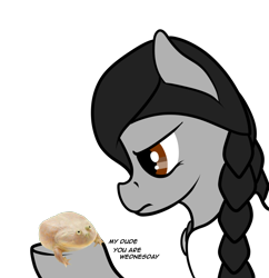Size: 1012x1047 | Tagged: safe, artist:anonymous, edit, ponerpics import, oc, oc only, oc:wednesday, earth pony, frog, pony, braid, clothes, female, holding, it is wednesday my dudes, mare, meme, simple background, solo, text, transparent background, wednesday addams, weekday ponies