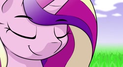Size: 1024x561 | Tagged: safe, alternate version, artist:ljdamz1119, derpibooru import, princess cadance, alicorn, pony, bust, close-up, cloud, digital art, eyes closed, female, grass, i see you're a man of culture as well, mare, meme, meme template, no text edit, ponified, ponified meme, portrait, smiling, solo