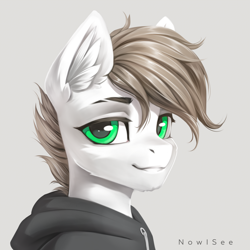 Size: 4000x4000 | Tagged: safe, artist:inowiseei, derpibooru import, oc, oc:alex, pony, bust, clothes, hoodie, male, portrait, solo, stallion