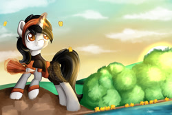 Size: 1280x854 | Tagged: safe, artist:appleneedle, derpibooru import, oc, oc:gian, butterfly, pony, unicorn, art, character, clothes, costume, digital, draw, drawing, fanart, knight, nature, paint, painting