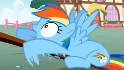 Size: 1246x710 | Tagged: safe, derpibooru import, screencap, rainbow dash, pegasus, pony, applebuck season, season 1, female, mare, open mouth, shocked, shocked expression, solo, spread wings, wings