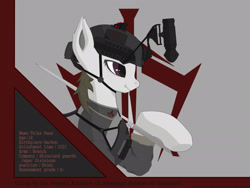 Size: 1920x1440 | Tagged: source needed, safe, artist:panze boom, derpibooru import, oc, oc:telax, bat pony, pony, arms, clothes, photo, reference sheet, soldier, solo, sword, uniform, war, weapon