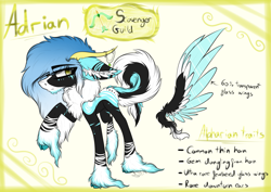 Size: 3597x2545 | Tagged: safe, artist:beamybutt, derpibooru import, oc, oc:adrian, pony, ear fluff, ears, hoof fluff, male, raised hoof, raised leg, reference sheet, stallion, wings